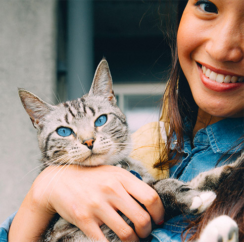 Cats love Pretty Please Cat Food